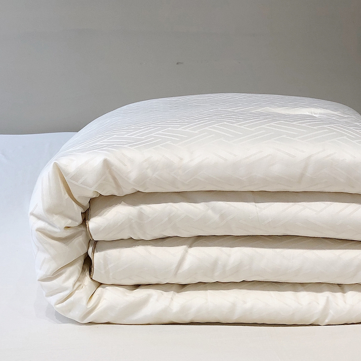 91家纺网 家纺一手货源 找家纺 （总）丽笙被芯 2025新款A类豆皇李官奇大豆被子被芯