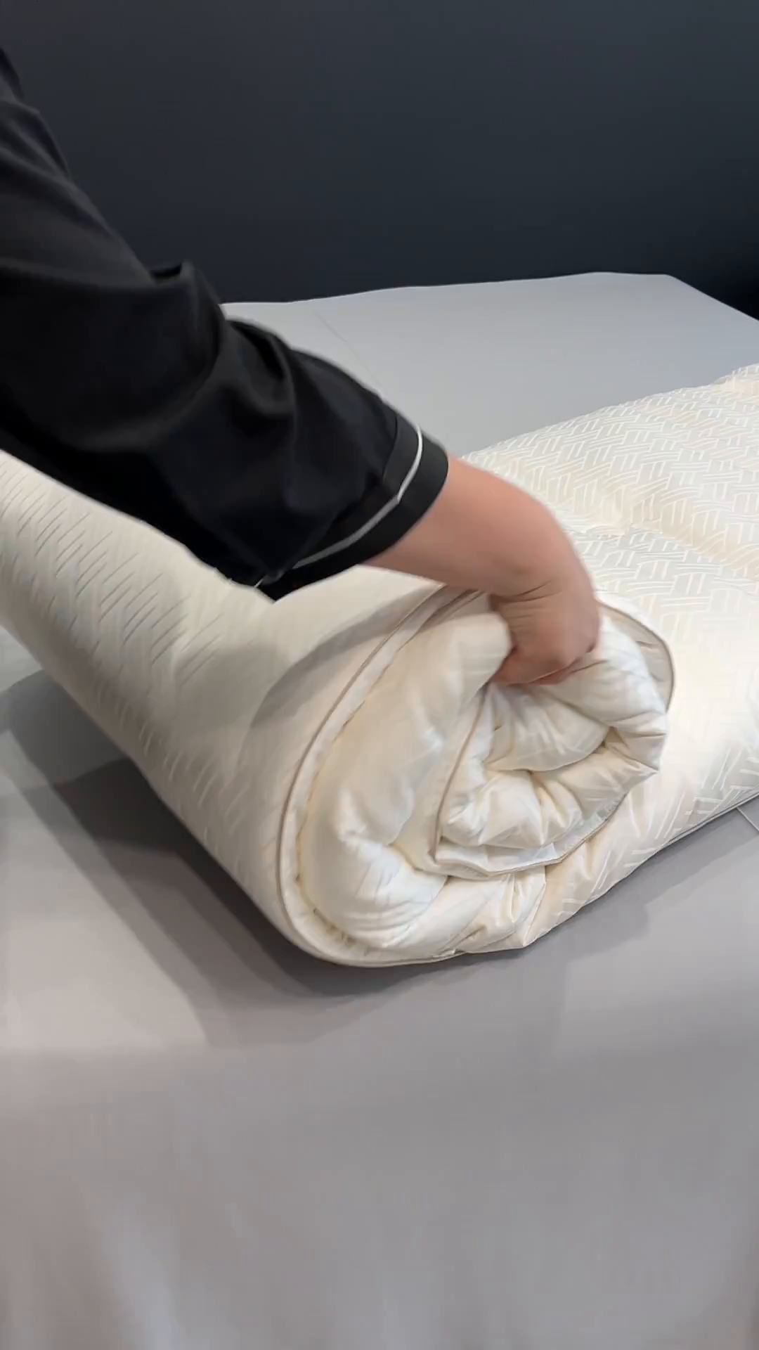 91家纺网 家纺一手货源 找家纺 （总）丽笙被芯 2025新款A类豆皇李官奇大豆被子被芯