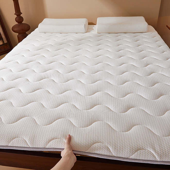 91家纺网 家纺一手货源 找家纺 （总）丽诺床垫 2025新款防螨记忆棉两用床垫5公分