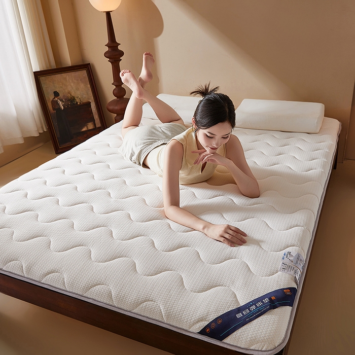 91家纺网 家纺一手货源 找家纺 （总）丽诺床垫 2025新款防螨记忆棉两用床垫5公分