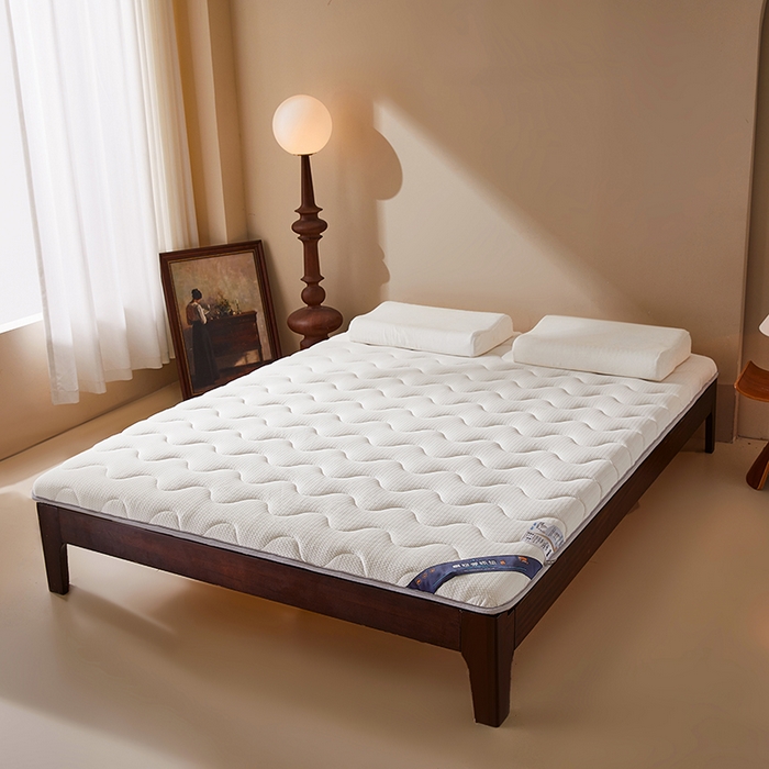 91家纺网 家纺一手货源 找家纺 （总）丽诺床垫 2025新款防螨记忆棉两用床垫5公分