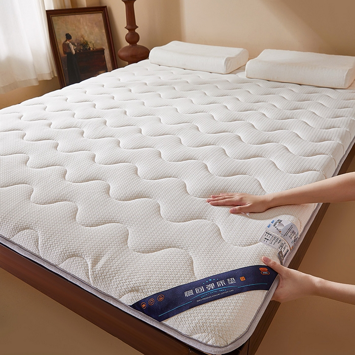 91家纺网 家纺一手货源 找家纺 （总）丽诺床垫 2025新款防螨记忆棉两用床垫5公分