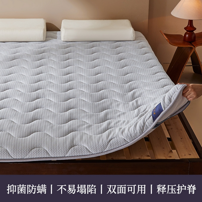 91家纺网 家纺一手货源 找家纺 （总）丽诺床垫 2025新款防螨记忆棉两用床垫5公分