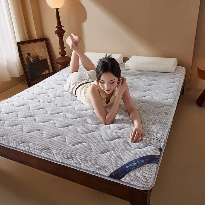 91家纺网 家纺一手货源 找家纺 丽诺床垫 2025新款防螨记忆棉两用床垫5公分 灰色