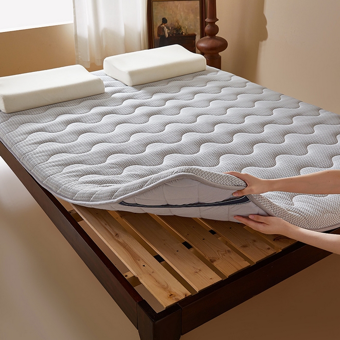 91家纺网 家纺一手货源 找家纺 丽诺床垫 2025新款防螨记忆棉两用床垫5公分 灰色