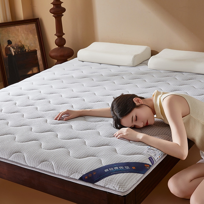 91家纺网 家纺一手货源 找家纺 丽诺床垫 2025新款防螨记忆棉两用床垫5公分 灰色