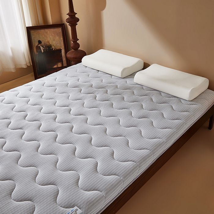 91家纺网 家纺一手货源 找家纺 丽诺床垫 2025新款防螨记忆棉两用床垫5公分 灰色