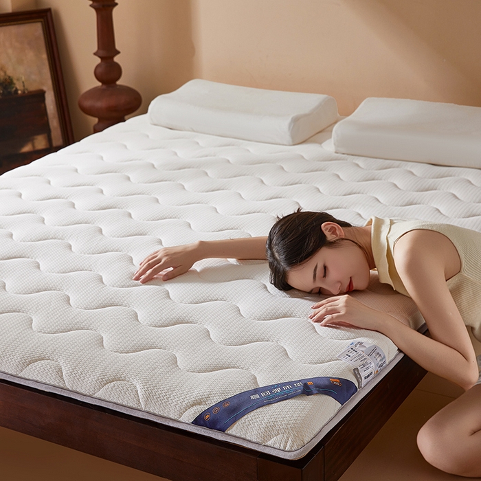 91家纺网 家纺一手货源 找家纺 （总）丽诺床垫 2025新款防螨记忆棉两用床垫5公分