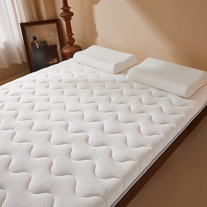 91家纺网 家纺一手货源 找家纺 丽诺床垫 2025新款防螨记忆棉两用床垫5公分 白色