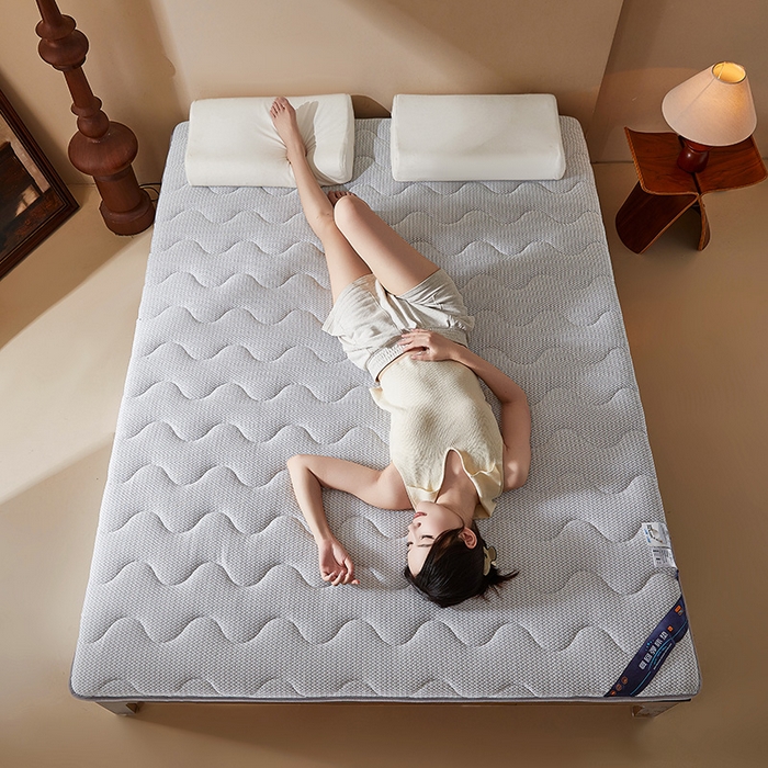 91家纺网 家纺一手货源 找家纺 丽诺床垫 2025新款防螨记忆棉两用床垫5公分 灰色