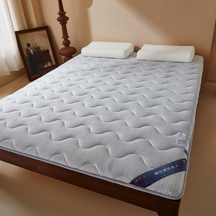 91家纺网 家纺一手货源 找家纺 丽诺床垫 2025新款防螨记忆棉两用床垫5公分 灰色
