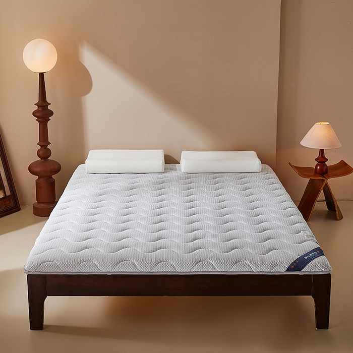 91家纺网 家纺一手货源 找家纺 丽诺床垫 2025新款防螨记忆棉两用床垫5公分 灰色