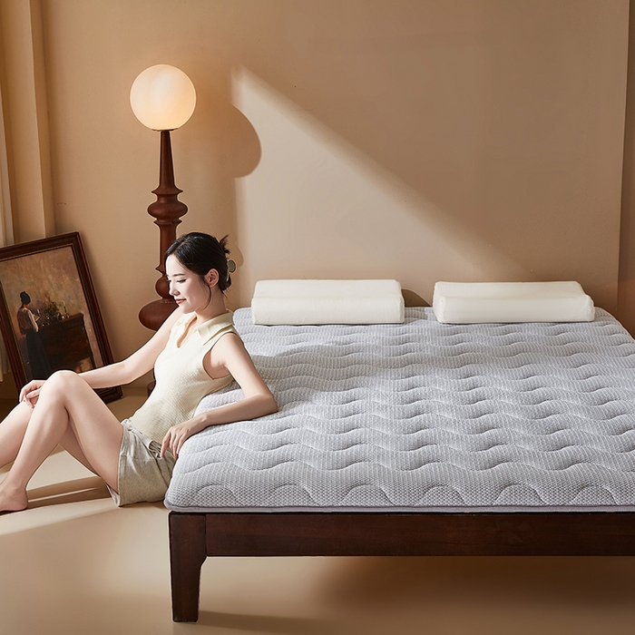 91家纺网 家纺一手货源 找家纺 丽诺床垫 2025新款防螨记忆棉两用床垫5公分 灰色