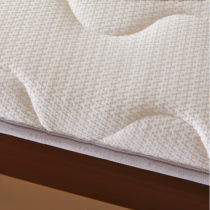 91家纺网 家纺一手货源 找家纺 丽诺床垫 2025新款防螨记忆棉两用床垫5公分 白色