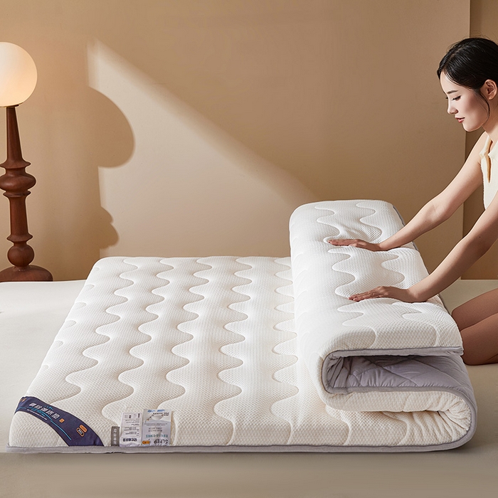 91家纺网 家纺一手货源 找家纺 丽诺床垫 2025新款防螨记忆棉两用床垫5公分 白色