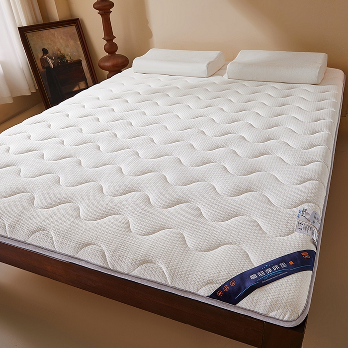 91家纺网 家纺一手货源 找家纺 丽诺床垫 2025新款防螨记忆棉两用床垫5公分 白色