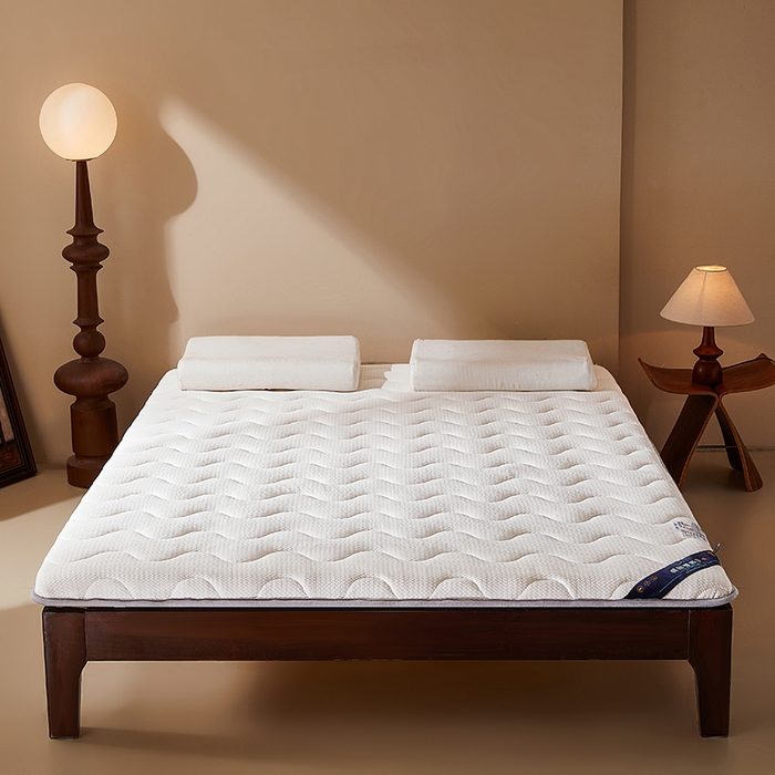 91家纺网 家纺一手货源 找家纺 丽诺床垫 2025新款防螨记忆棉两用床垫5公分 白色