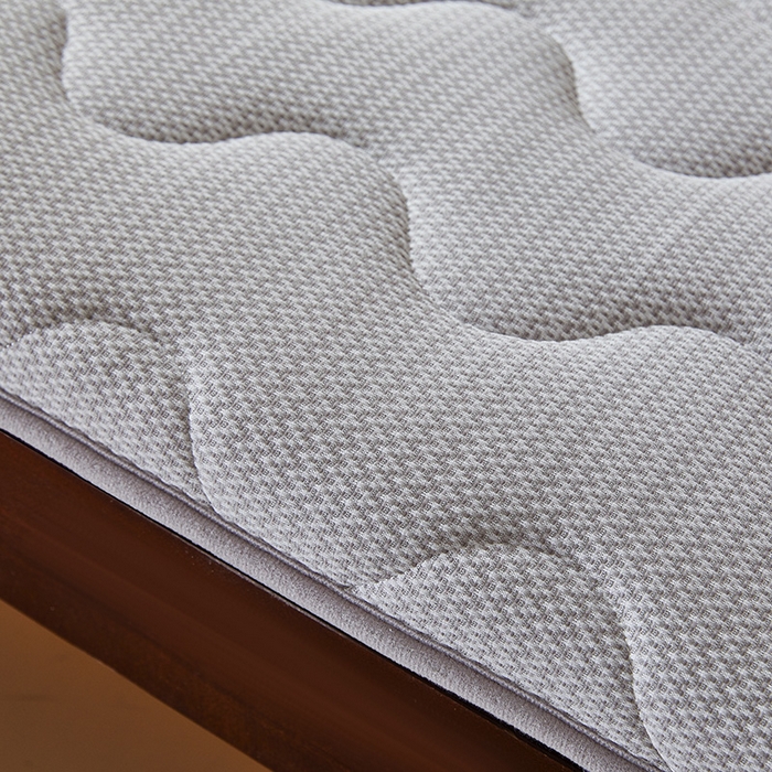 91家纺网 家纺一手货源 找家纺 丽诺床垫 2025新款防螨记忆棉两用床垫5公分 灰色