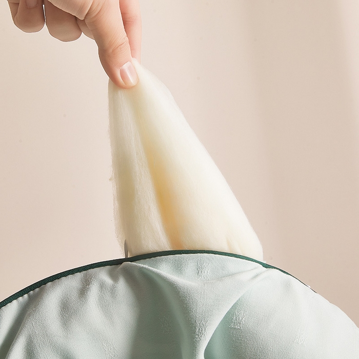 91家纺网 家纺一手货源 找家纺 一诺家居 2025新款立体提花大豆被单边冬被学生宿舍单人被褥 棉意 清新绿