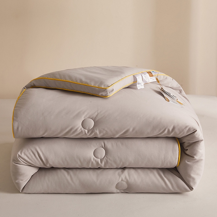 一诺家居 2025新款立体提花大豆被单边冬被学生宿舍单人被褥 棉意 雅致灰