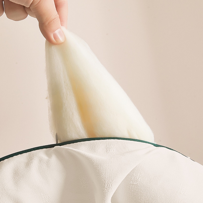 91家纺网 家纺一手货源 找家纺 一诺家居 2025新款立体提花大豆被单边冬被学生宿舍单人被褥 棉意 云朵白