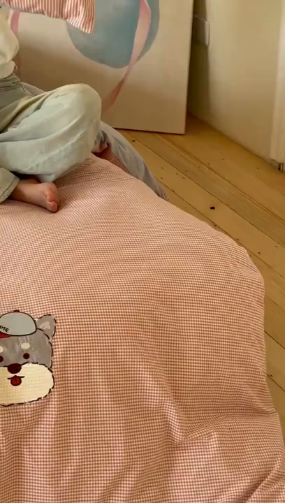 91家纺网 家纺一手货源 找家纺 RYB红黄兰 2025新款设计师原创A面全棉色织水洗棉+B面婴儿绒贴布绣四件套 蜜格萌宠粉