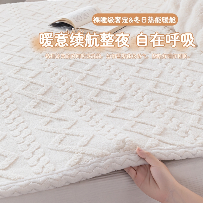 91家纺网 家纺一手货源 找家纺 （总）芙宁娜家纺 2025新款秋冬家用塔芙绒床单加绒加厚保暖床笠床单保护罩