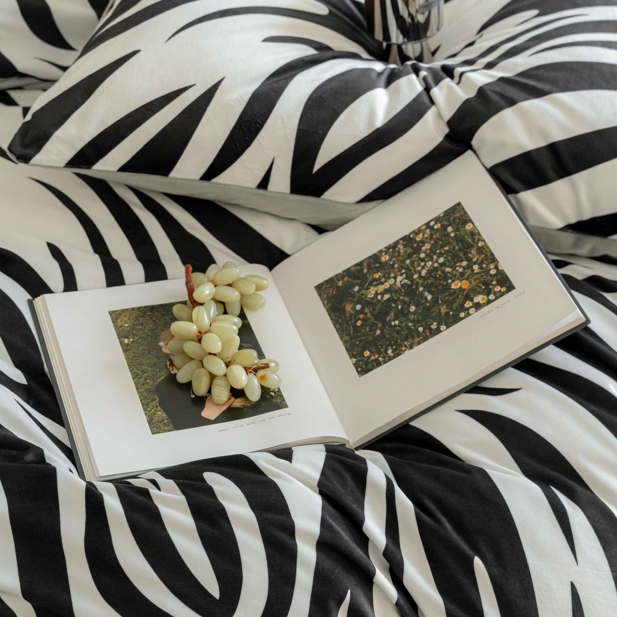 91家纺网 家纺一手货源 找家纺 （总）ONE TWO ONE 121 2025新款轻奢新法式德芙绒宝宝绒婴儿绒短毛绒牛奶绒四件套床单被套-摩格【会员-10】 平台控价券后不得低于 258  278