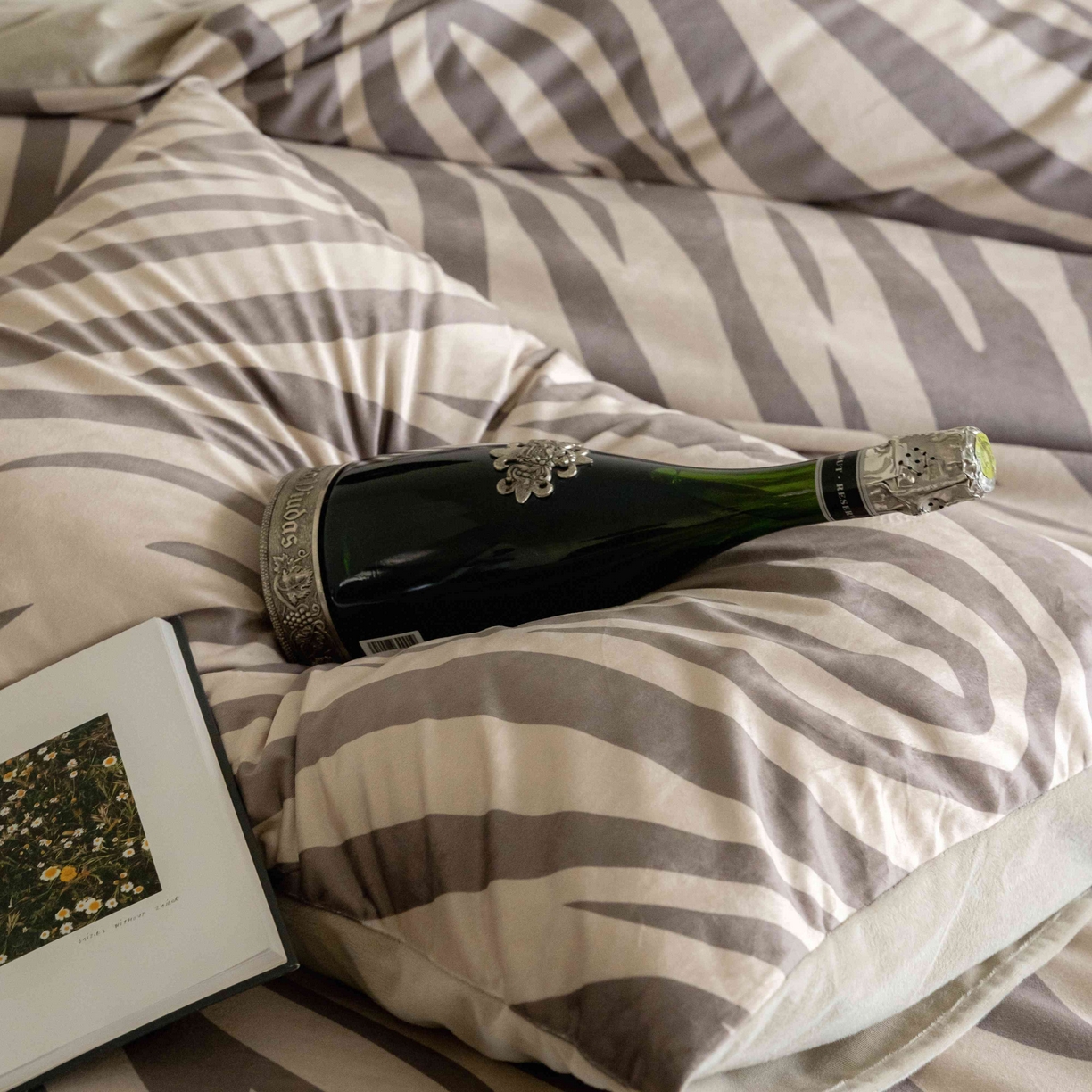 91家纺网 家纺一手货源 找家纺 ONE TWO ONE 121 2025新款轻奢新法式德芙绒宝宝绒婴儿绒短毛绒牛奶绒四件套床单被套-摩格【会员-10】 平台控价券后不得低于 258  278 摩格-咖