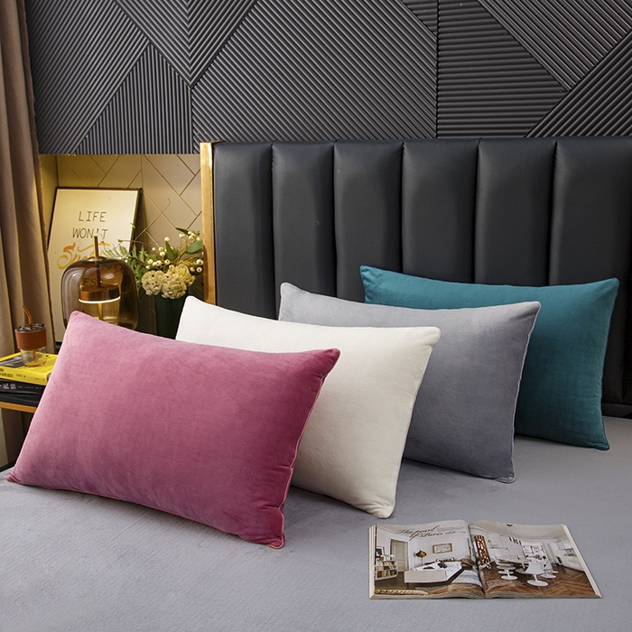 （总）织布人 2025新款枕芯秋冬季宝宝绒枕芯成人家用护颈助眠枕头学生宿舍枕芯