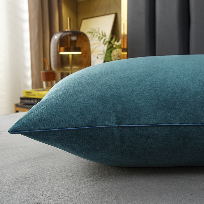 91家纺网 家纺一手货源 找家纺 织布人 2025新款枕芯秋冬季宝宝绒枕芯成人家用护颈助眠枕头学生宿舍枕芯 宝宝绒舒颈枕-宝兰