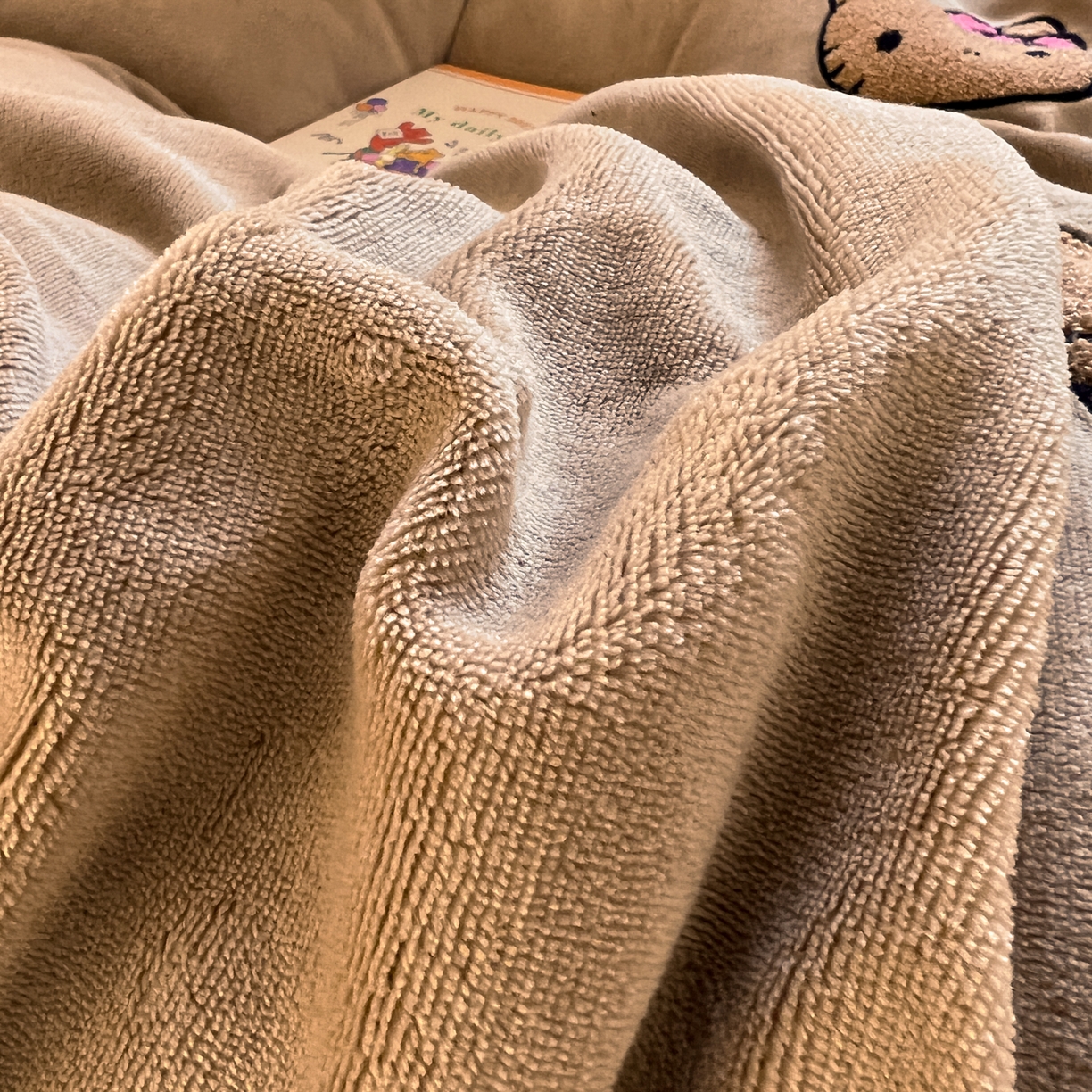 91家纺网 家纺一手货源 找家纺 童颜 2025新款高克重保暖牛奶绒毛巾绣四件套-黑皮猫-场景二 黑皮猫-浅咖+灰