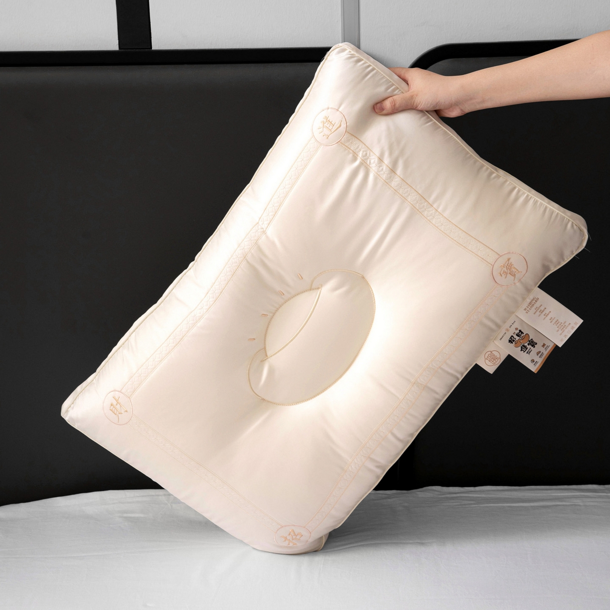 91家纺网 家纺一手货源 找家纺 亦帆枕芯 2025新款招财进宝羽丝绒枕头枕芯仿蚕丝不塌陷护颈定型枕枕头枕芯 招财进宝玉色