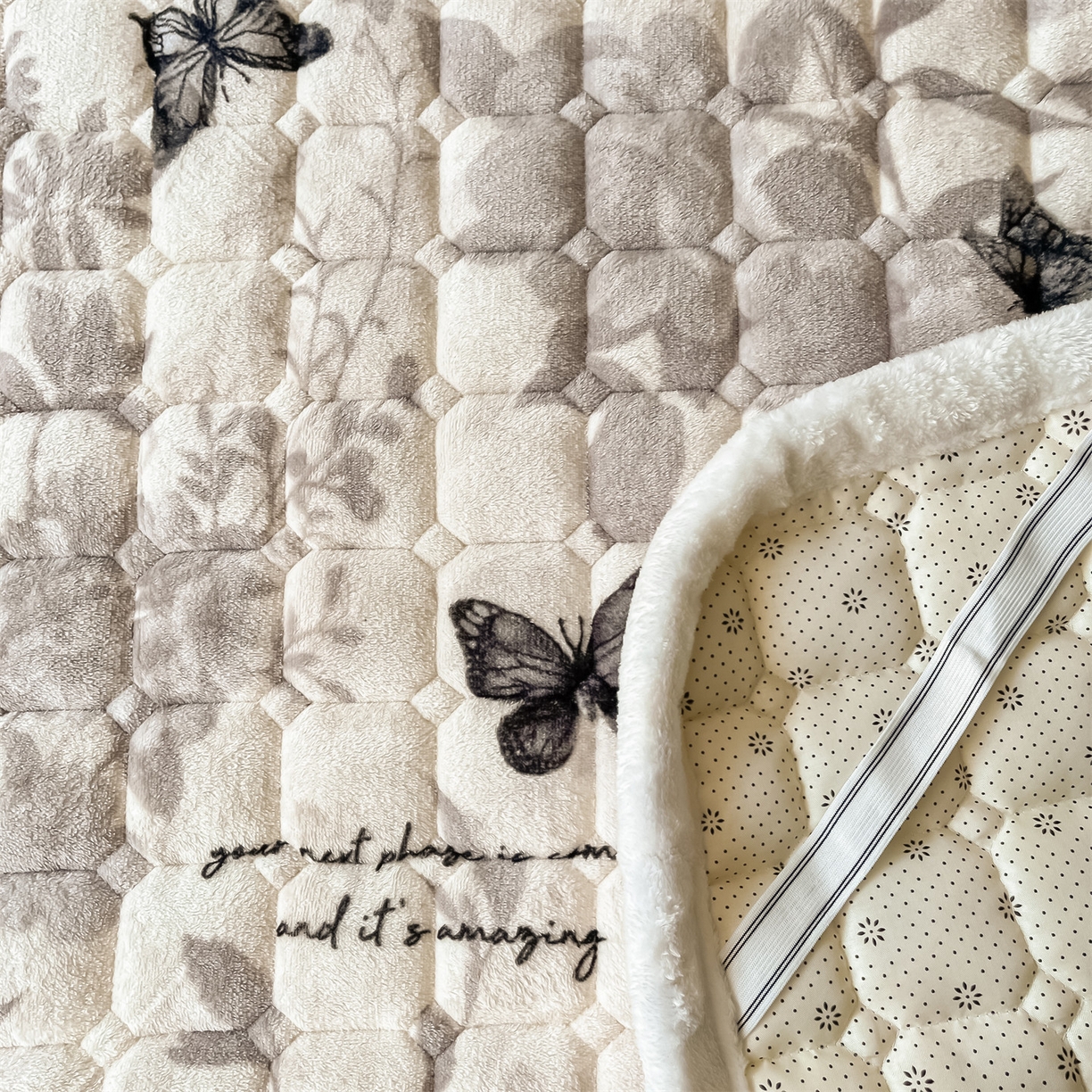 91家纺网 家纺一手货源 找家纺 美澳家纺 2025新款印花牛奶绒加厚夹棉床褥床垫 黑蝴蝶