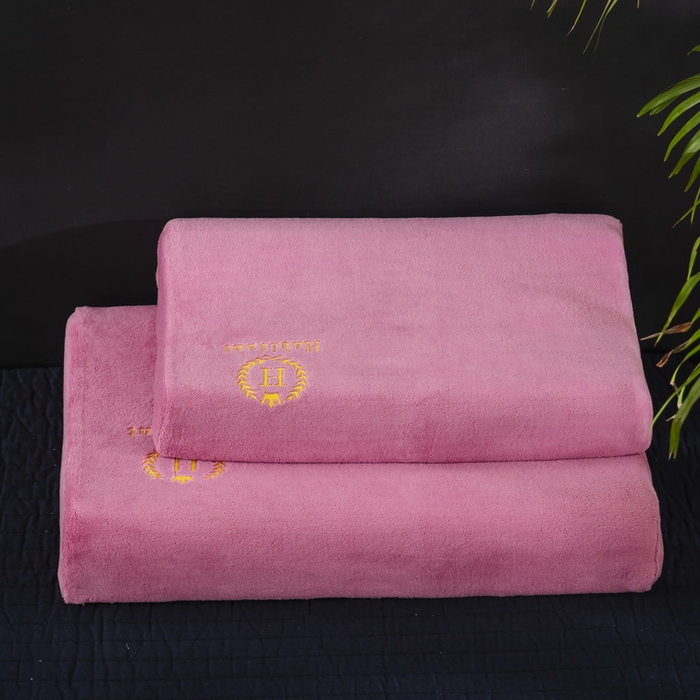 91家纺网 家纺一手货源 找家纺 （总）大黄蜂家居家纺 2025新款H款牛奶绒秋冬刺绣乳胶枕套