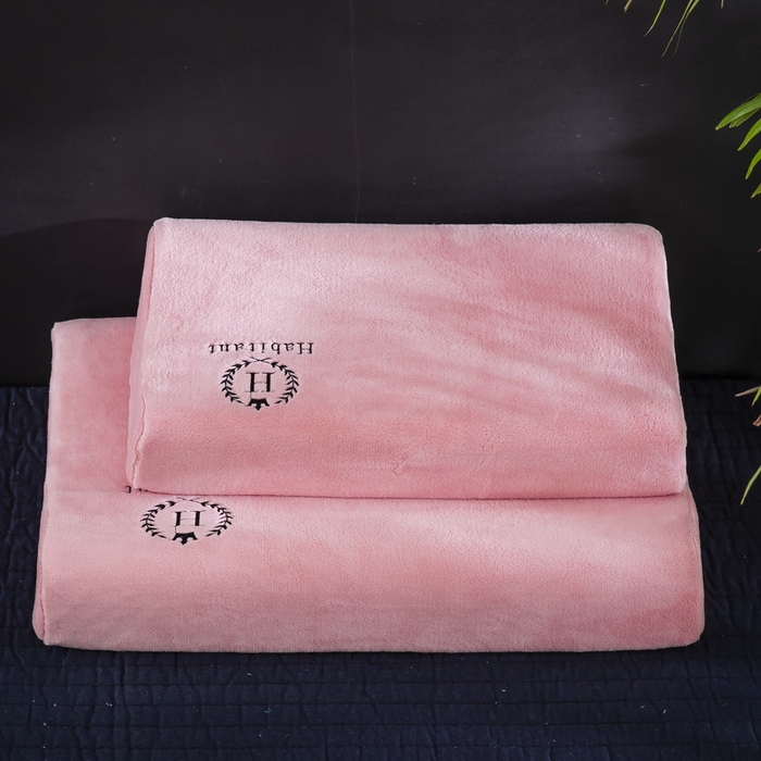 91家纺网 家纺一手货源 找家纺 （总）大黄蜂家居家纺 2025新款H款牛奶绒秋冬刺绣乳胶枕套