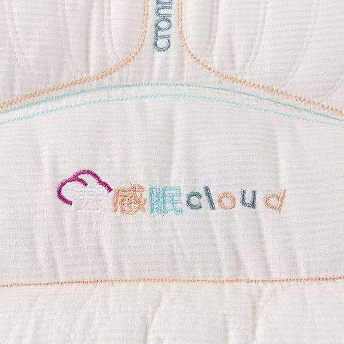 91家纺网 家纺一手货源 找家纺 （总）木子晗 2025新款雪尼绒云感眠枕头枕芯