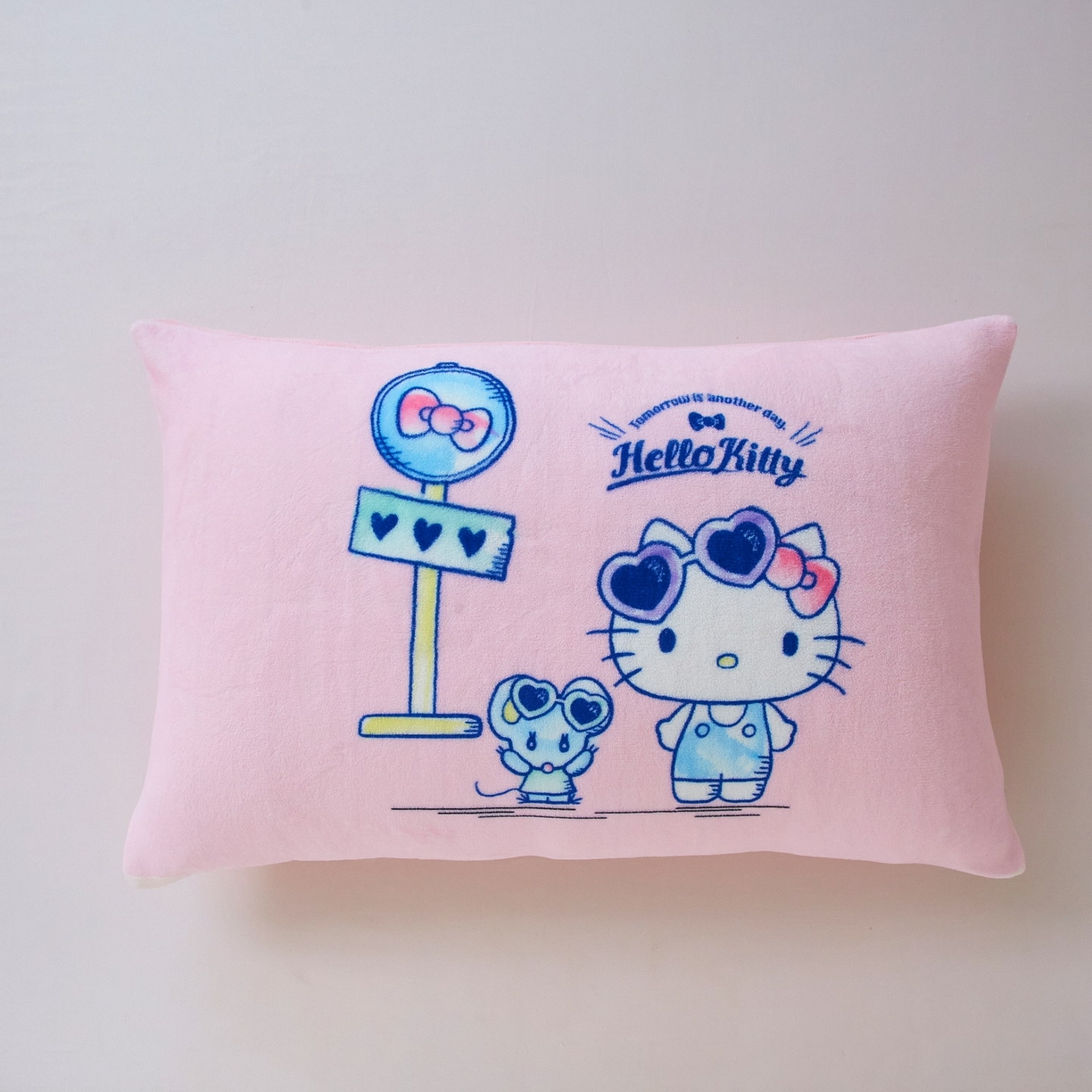 蘭菲家纺 2025新款三丽欧牛奶绒套件系列单品枕套 车站kT