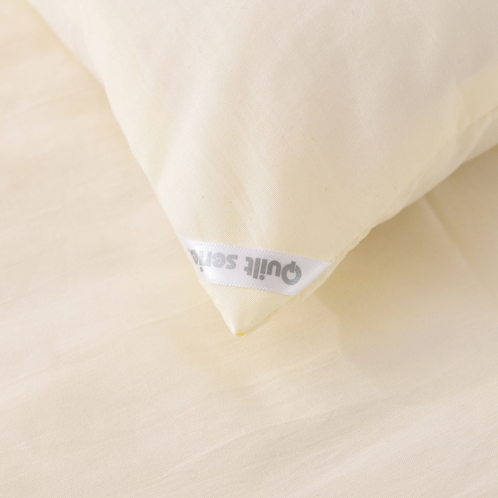 91家纺网 家纺一手货源 找家纺 寝美资家居 2025新款水冼棉新疆棉花被被子被芯 棉花-白