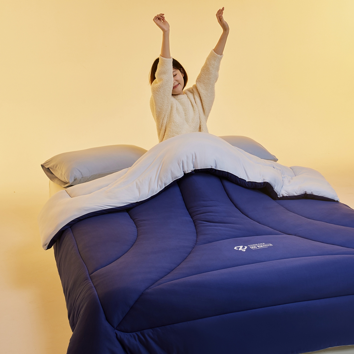 91家纺网 家纺一手货源 找家纺 （总）玛德琳 2025新款10A中科抗菌深睡云朵被子被芯-无影图