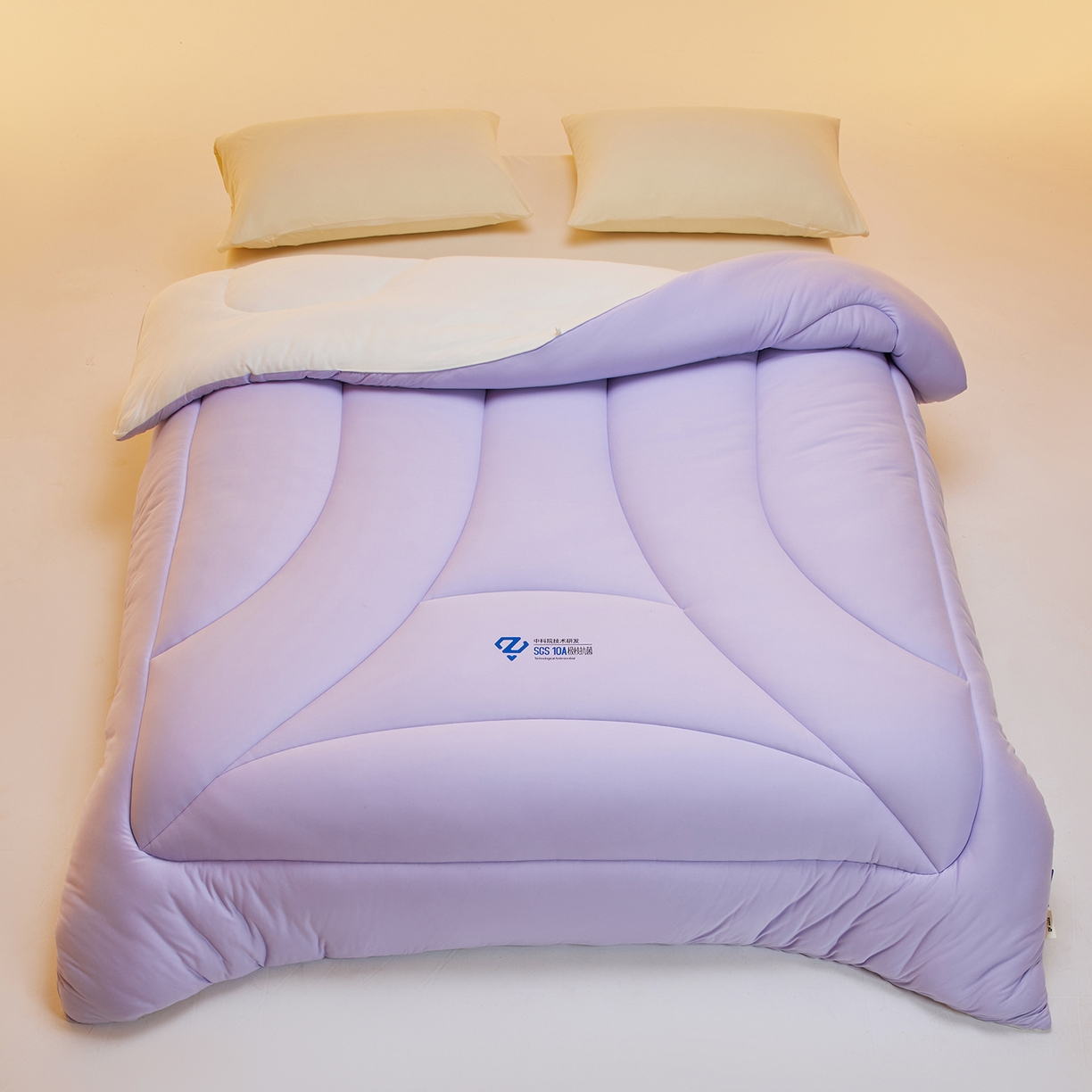 91家纺网 家纺一手货源 找家纺 玛德琳 2025新款10A中科抗菌深睡云朵被子被芯-无影图 雾山紫