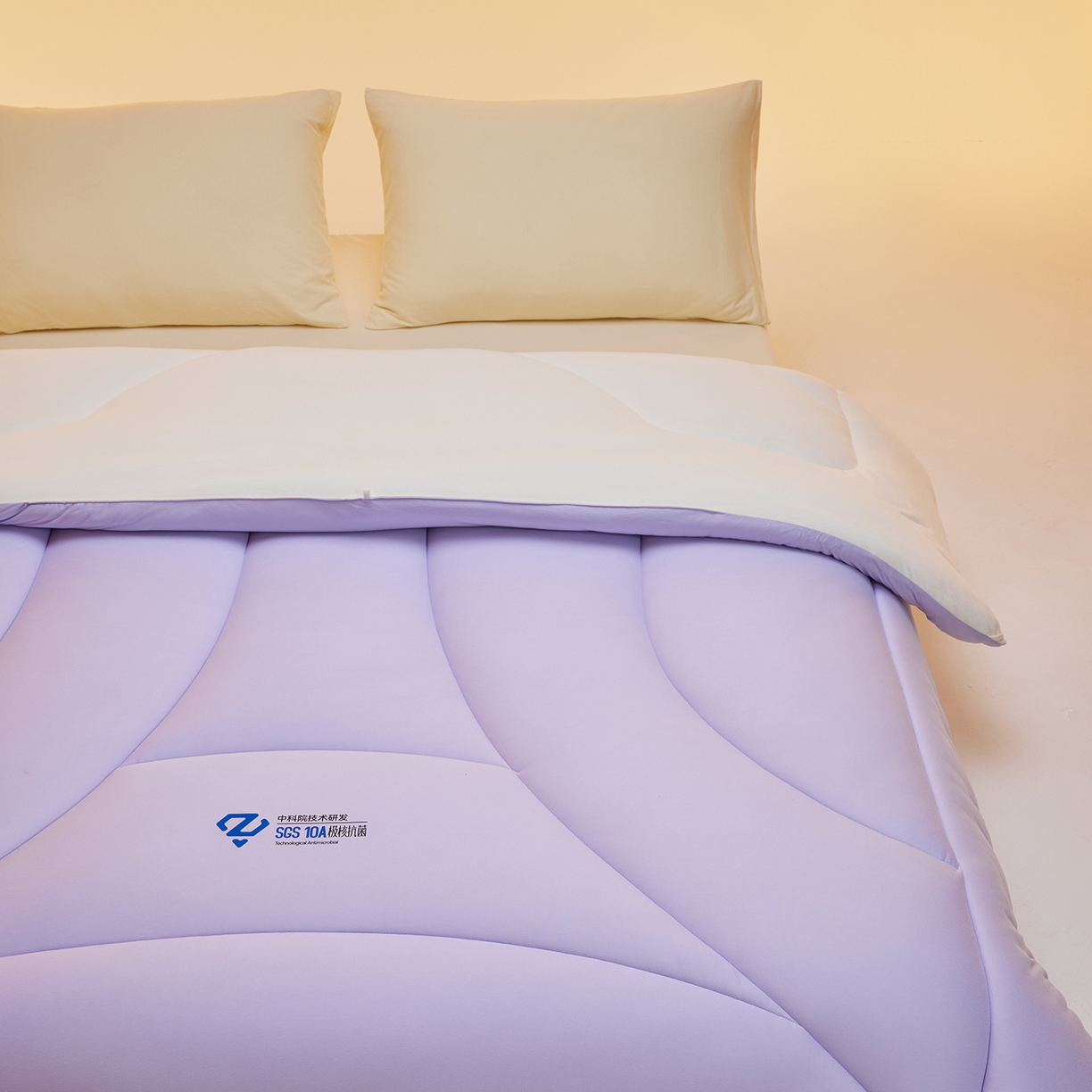 91家纺网 家纺一手货源 找家纺 玛德琳 2025新款10A中科抗菌深睡云朵被子被芯-无影图 雾山紫