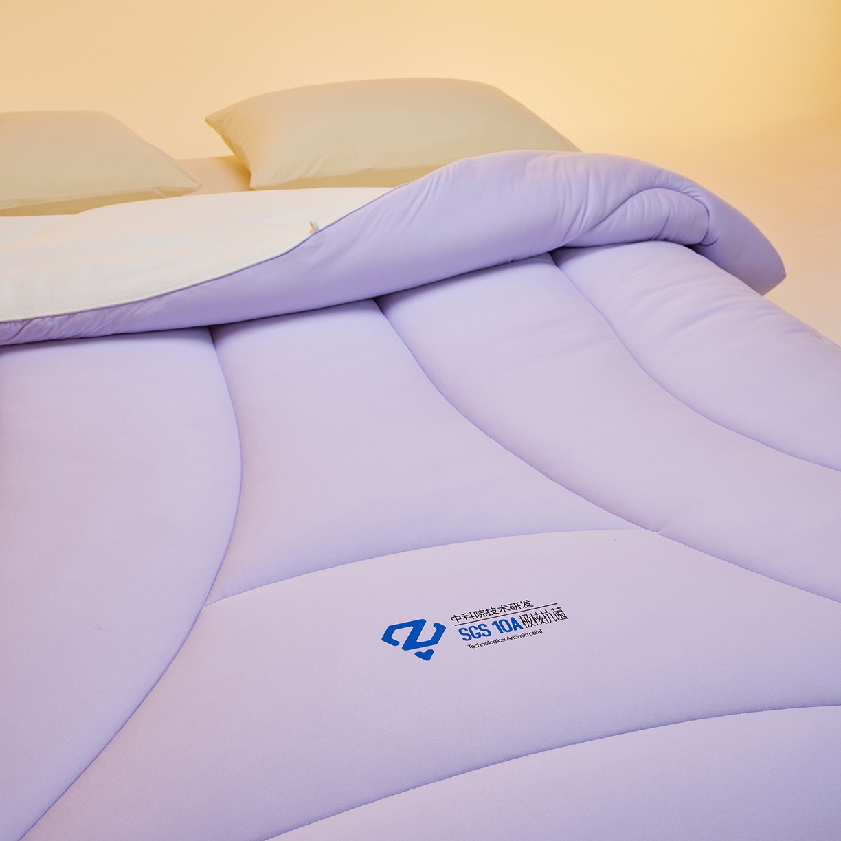 91家纺网 家纺一手货源 找家纺 玛德琳 2025新款10A中科抗菌深睡云朵被子被芯-无影图 雾山紫