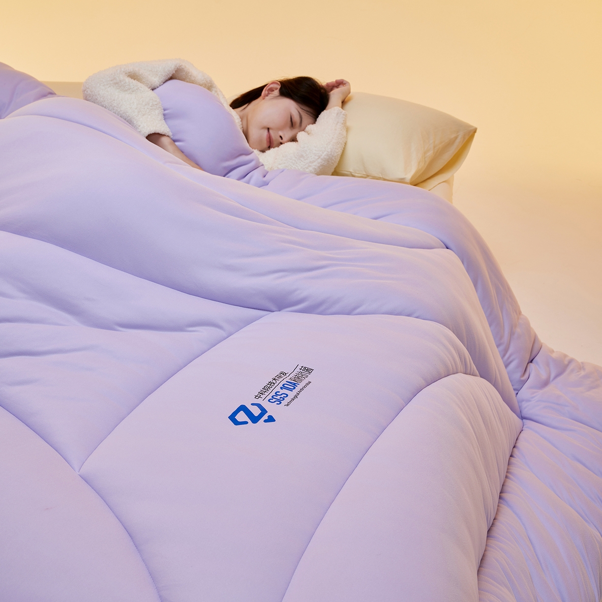 91家纺网 家纺一手货源 找家纺 玛德琳 2025新款10A中科抗菌深睡云朵被子被芯-无影图 雾山紫