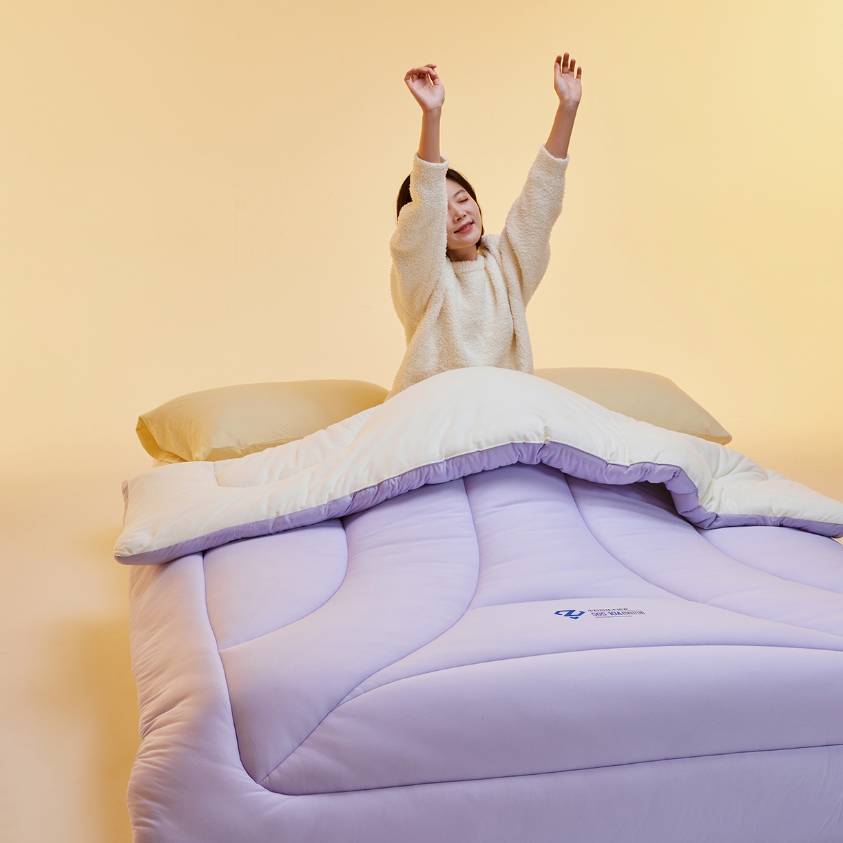 91家纺网 家纺一手货源 找家纺 玛德琳 2025新款10A中科抗菌深睡云朵被子被芯-无影图 雾山紫