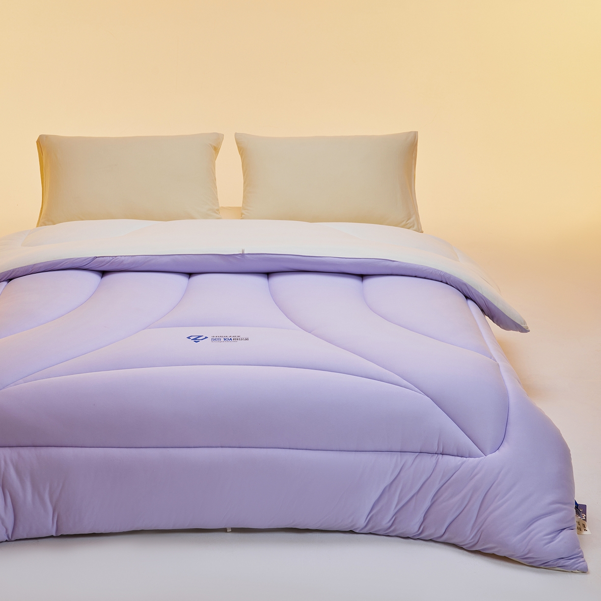 91家纺网 家纺一手货源 找家纺 玛德琳 2025新款10A中科抗菌深睡云朵被子被芯-无影图 雾山紫
