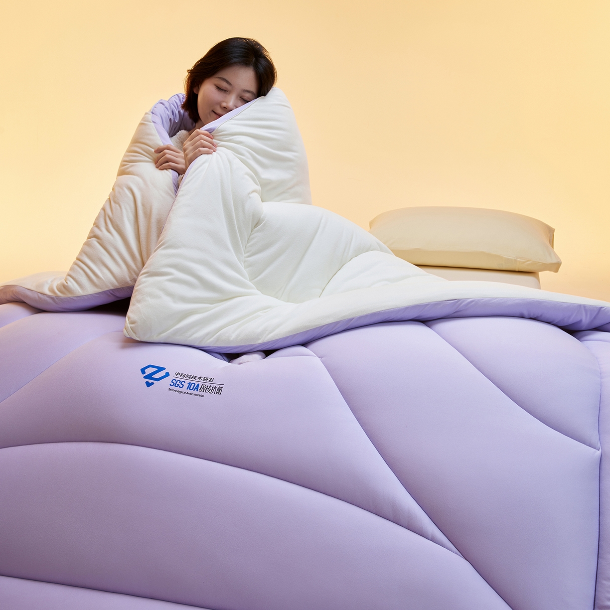 91家纺网 家纺一手货源 找家纺 玛德琳 2025新款10A中科抗菌深睡云朵被子被芯-无影图 雾山紫