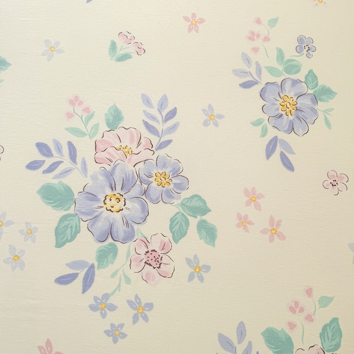 91家纺网 家纺一手货源 找家纺 名优家纺 2025新款全棉纯棉12868韩版小清新系列床笠单件--单床笠 惜颜