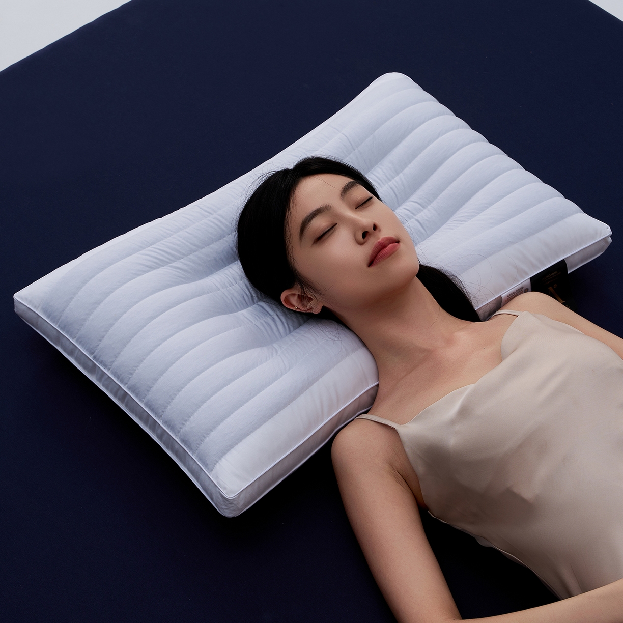 91家纺网 家纺一手货源 找家纺 （总）乐可 2025新款全棉决明子酒店枕枕头枕芯