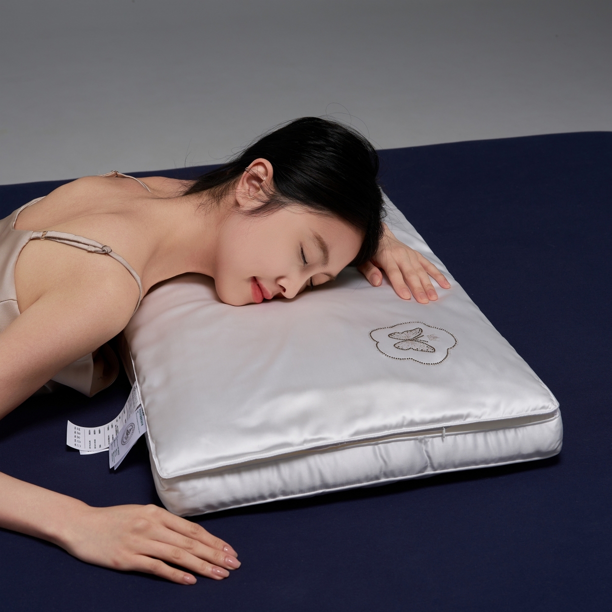 91家纺网 家纺一手货源 找家纺 （总）乐可 2025新款七星丝润蚕丝双层枕枕头枕芯